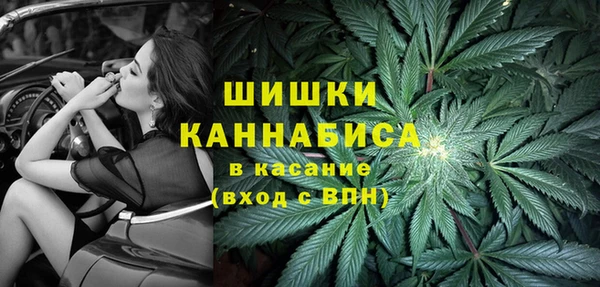 прущий лед Алзамай