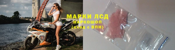 прущий лед Алзамай