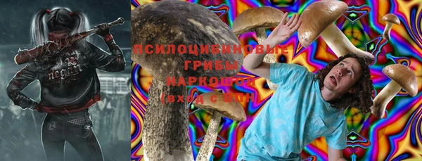 МДПВ Алексин