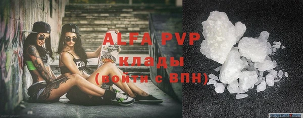 хмурый Абаза
