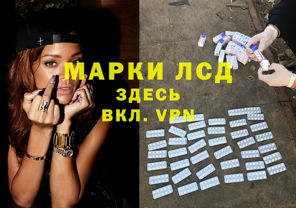 прущий лед Алзамай