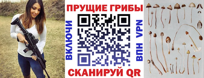 Галлюциногенные грибы MAGIC MUSHROOMS  купить   Моздок 